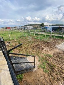 Değirmendere’de Satılık Arsa 251m2, 42m2 Konteynır Ev ile birlikte