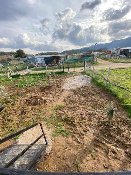 Değirmendere’de Satılık Arsa 251m2, 42m2 Konteynır Ev ile birlikte